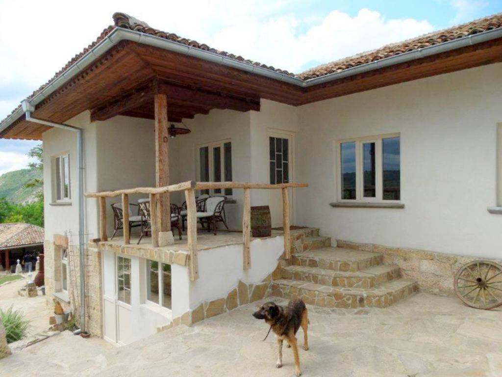 Guest House Biekorf Kostandenets Экстерьер фото